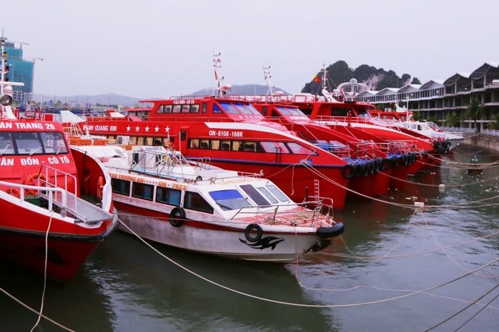 Quảng Ninh công bố 76 điểm tránh trú bão cho tàu thuyền