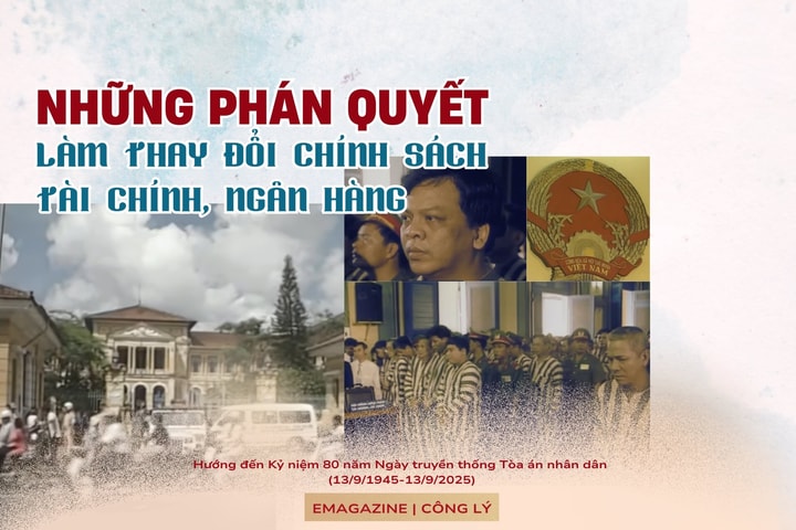 Những phán quyết làm thay đổi chính sách tài chính, ngân hàng