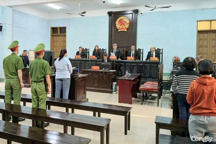 Lĩnh án vì đánh đập cháu bé khuyết tật tử vong