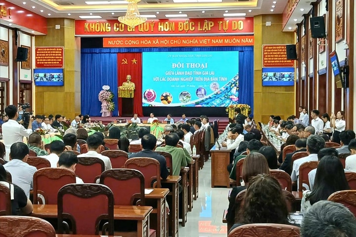 Gia Lai tổ chức đối thoại với các doanh nghiệp