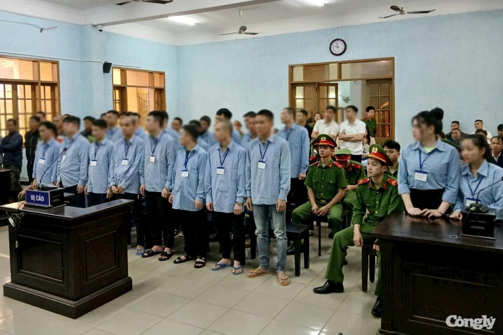 Chánh án TAND tỉnh Gia Lai ra quyết định bắt, tạm giam 14 bị cáo đang tại ngoại