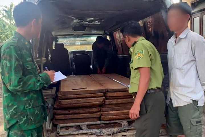 Bắt giữ vụ vận chuyển lâm sản trái phép tại xã A Lưới 3, TP Huế