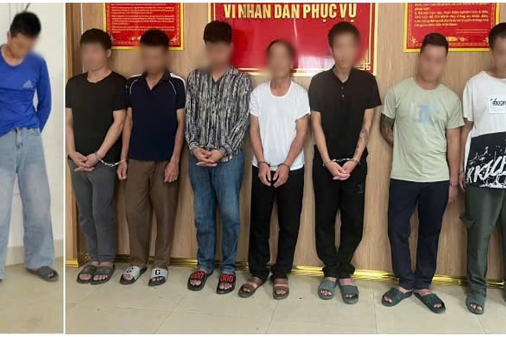 Triệt phá đường dây trộm chó và tài sản có tổ chức