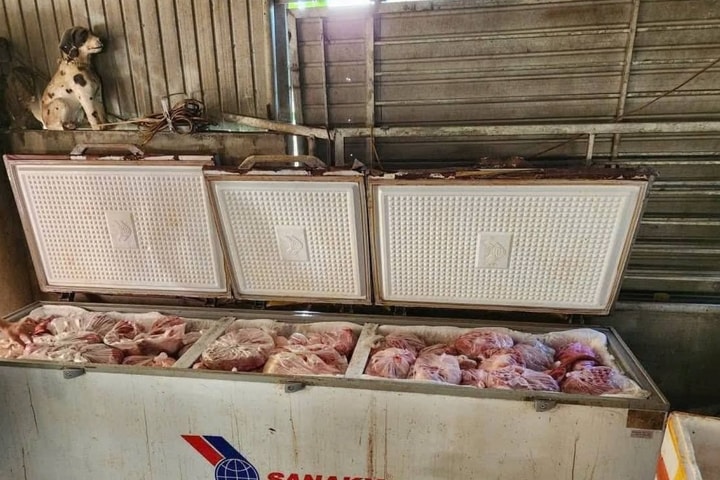 Phát hiện gần 1 tấn thịt lợn bệnh được cấp đông tại nhà