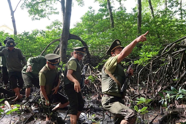 Đồng Nai: Kịp thời ngăn chặn những sai phạm trong quản lý và bảo vệ rừng