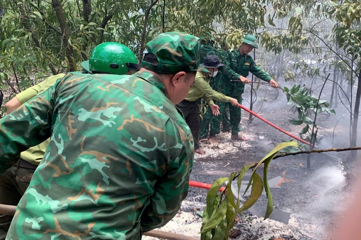 Kịp thời khống chế vụ cháy rừng tại TP Huế