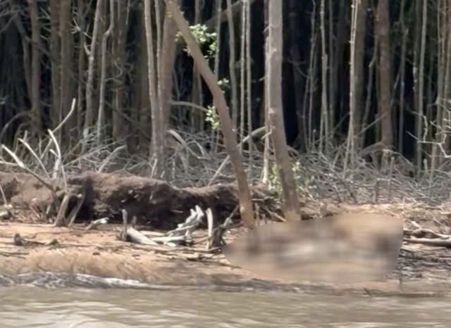 Phát hiện thi thể chưa rõ lai lịch đang phân hủy