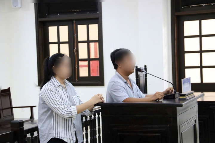 Xét xử phúc thẩm vụ án làm giả con dấu, tài liệu của cơ quan, tổ chức