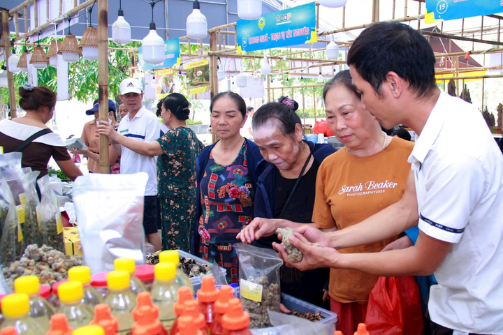 Hà Nội rộn ràng Tuần hàng OCOP 2025