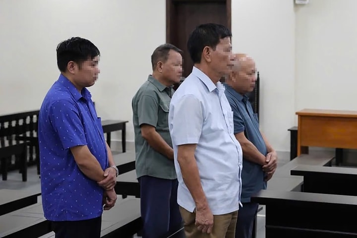 Nhóm cựu cán bộ xã ở Hà Nội chuyển nhượng đất rừng phòng hộ trái phép lĩnh án