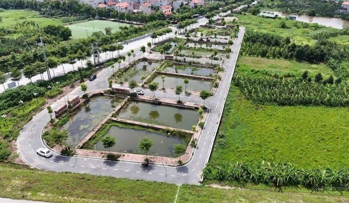 Nhiều điểm mới về bồi thường, ghi nợ tiền sử dụng đất và đấu giá đất