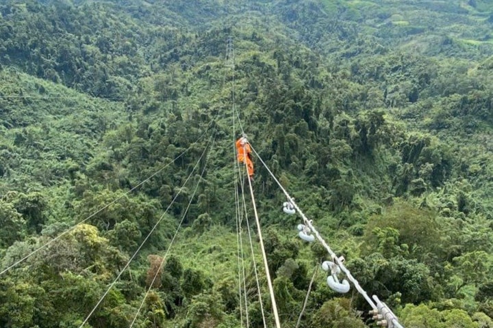 Quy định chặt chẽ việc tạm sử dụng rừng để phục vụ phát triển kinh tế - xã hội