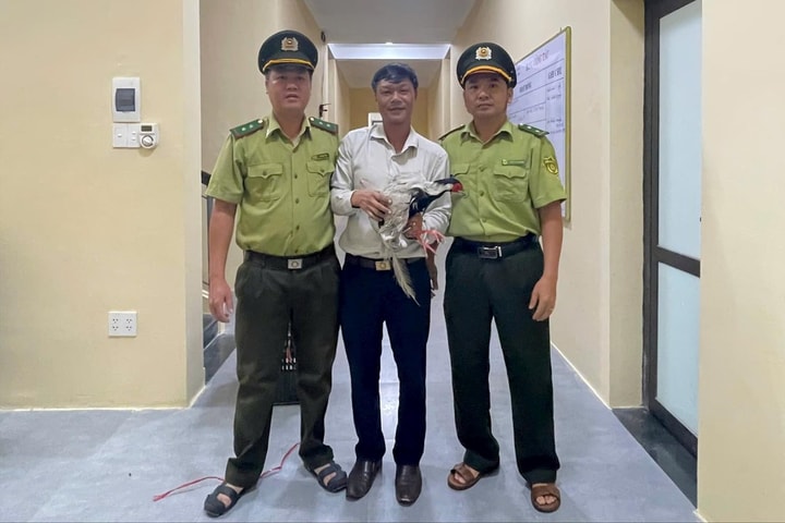Người dân Huế giao nộp gà lôi trắng quý hiếm cho cơ quan chức năng