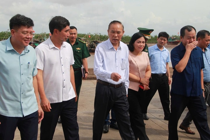 Đề nghị phê bình những địa phương có tàu cá vi phạm IUU