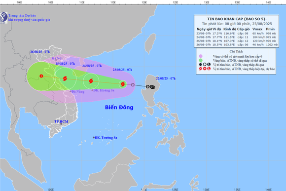 Đà Nẵng khẩn trương triển khai biện pháp ứng phó bão số 5 (Kajiki)
