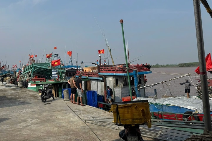 Ninh Bình khẩn trương đưa tàu thuyền vào bờ tránh bão