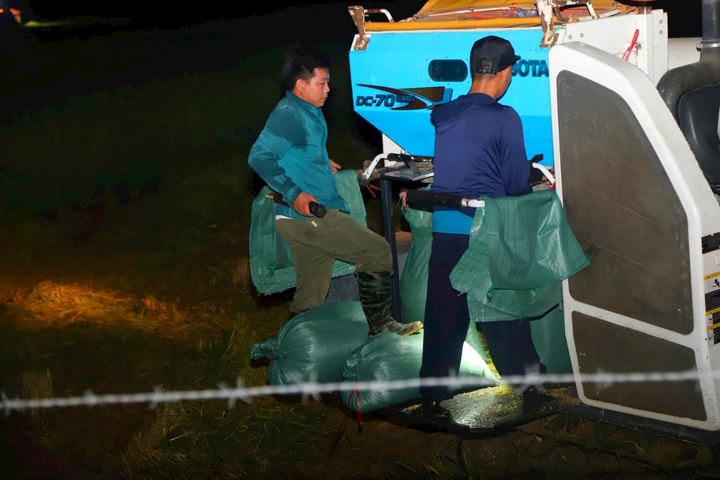 Người dân Hà Tĩnh gặt lúa sớm “chạy” bão