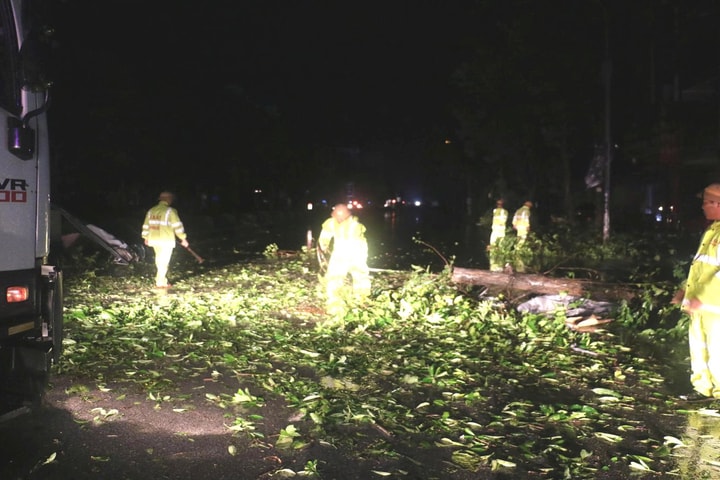 Xuyên đêm dọn cây đổ, CSGT Nghệ An mở đường giữa tâm bão