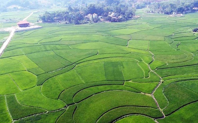 Tín chỉ Carbon - Hướng đi mới cho nông nghiệp xanh tại Thái Nguyên