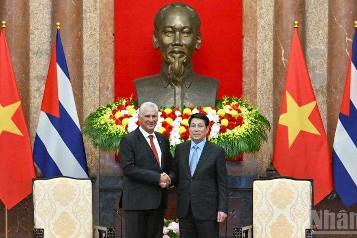 Chủ tịch nước Lương Cường hội kiến Bí thư Thứ nhất, Chủ tịch nước Cộng hòa Cuba Miguel Diaz-Canel Bermudez