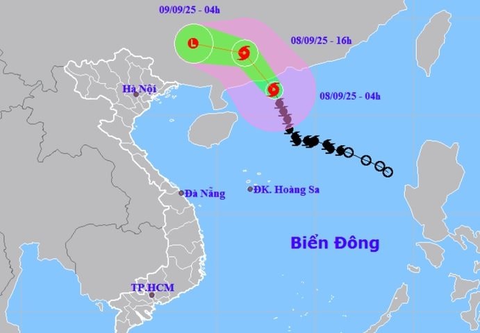 Quảng Ninh tạm ngừng cấp phép tàu thuyền ra khơi để phòng ngừa bão số 7