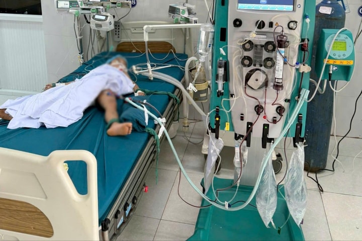 3 cháu bé thương vong sau khi bị ong vò vẽ đốt