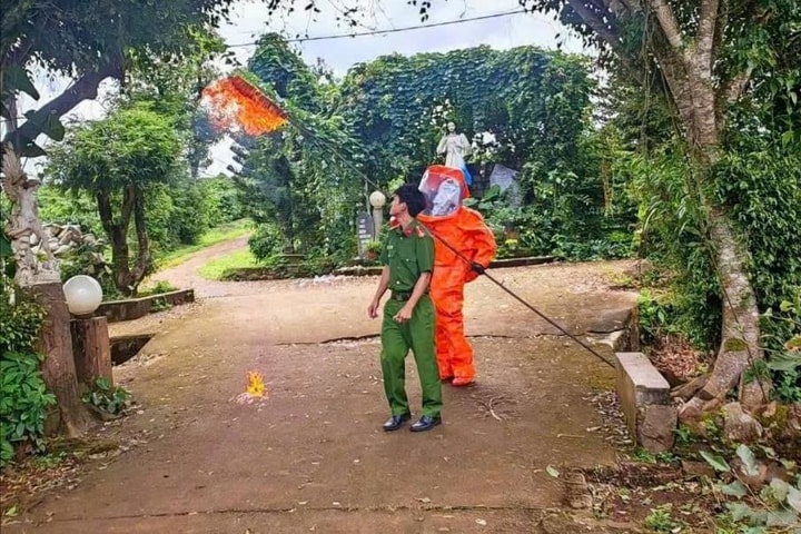 Vụ 3 cháu bé thương vong: Xử lý tổ ong vò vẽ