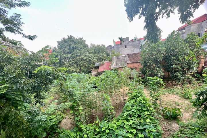 Đề xuất gỡ vướng tính tiền sử dụng đất khi chuyển từ đất nông nghiệp sang đất ở