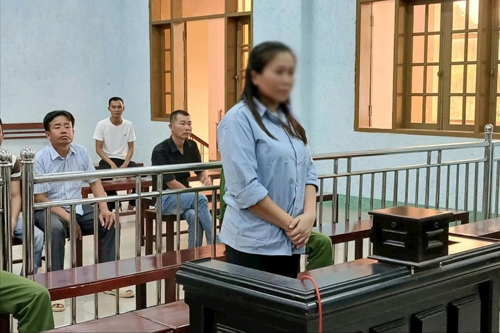 Nữ kế toán tham ô hàng trăm triệu đồng