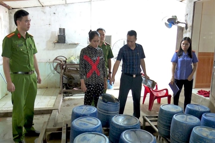 Dùng hóa chất làm giá đỗ, một đối tượng bị khởi tố