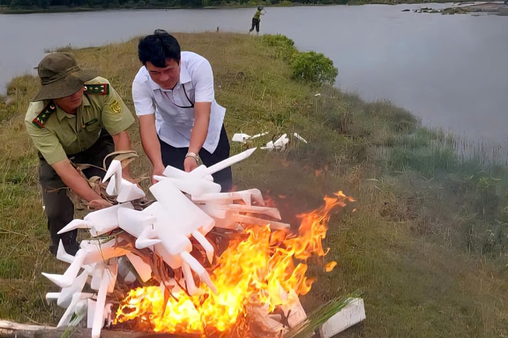 Huế tăng cường tháo gỡ bẫy, bảo vệ chim hoang dã mùa di cư