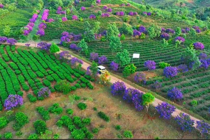 Đưa Kon Plông trở thành xã du lịch lý tưởng, hút khách