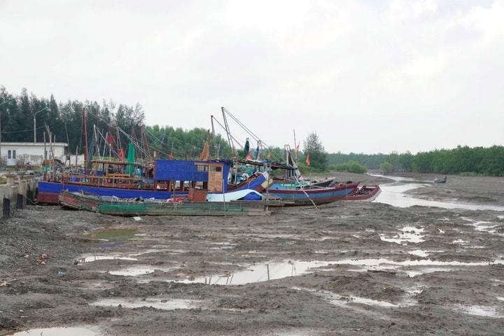 Những tiếng thở dài ở Cảng cá Hoằng Phụ