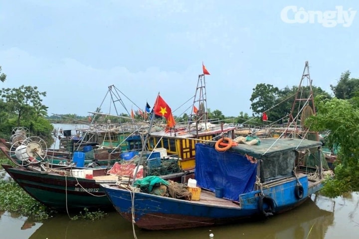 Ninh Bình chủ động ứng phó với bão RAGASA