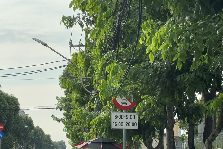 Sở Xây dựng TP.HCM: Các biển báo, vạch kẻ đường không bị xuống cấp