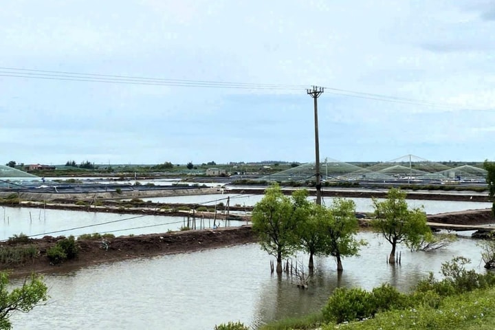 Ninh Bình: Các xã ven biển chủ động ứng phó bão số 10