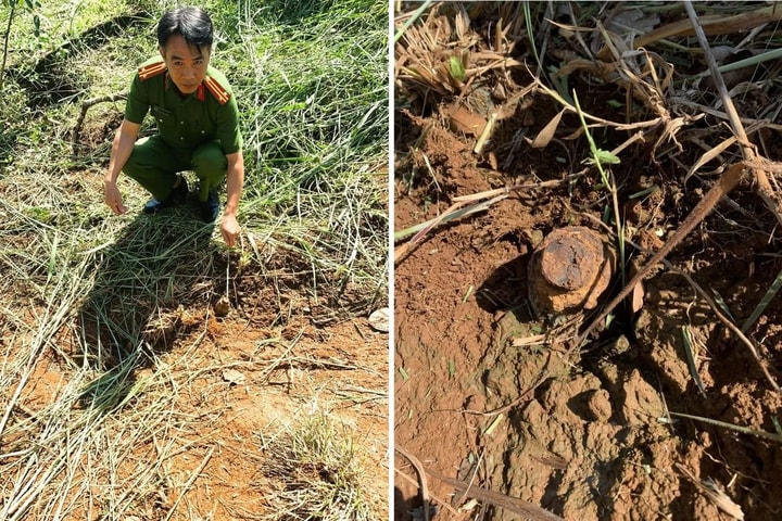 Phát cỏ vườn nhà, lòi ra… đầu đạn