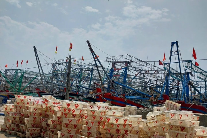 Nghệ An thực hiện nghiêm túc các chỉ đạo về chống khai thác IUU