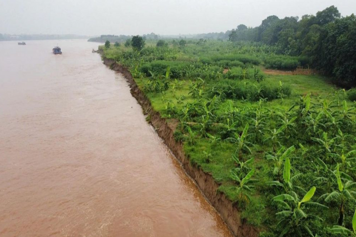 Khẩn trương xử lý sạt mái đê sông Thao tại Phú Thọ