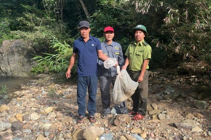 Thả cá thể trăn gấm quý hiếm về rừng tự nhiên ở TP Huế