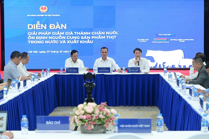 Tìm giải pháp giảm giá thành chăn nuôi