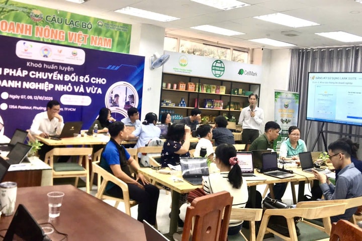 TP.HCM phát động phong trào “Bình dân học vụ số”