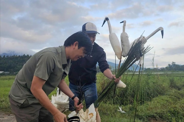 Bắt quả tang 2 người đàn ông bẫy bắt chim hoang dã