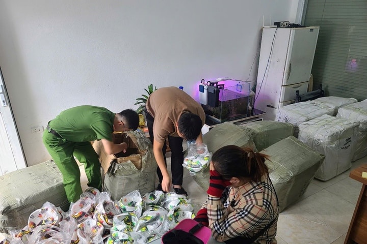 Triệt phá đường dây buôn bán hàng giả nhãn hiệu thể thao quy mô lớn