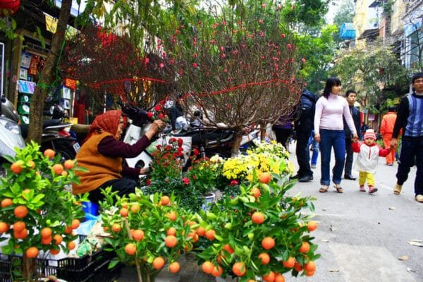 Thủ tướng Chính phủ đồng ý phương án nghỉ Tết Bính Ngọ 9 ngày