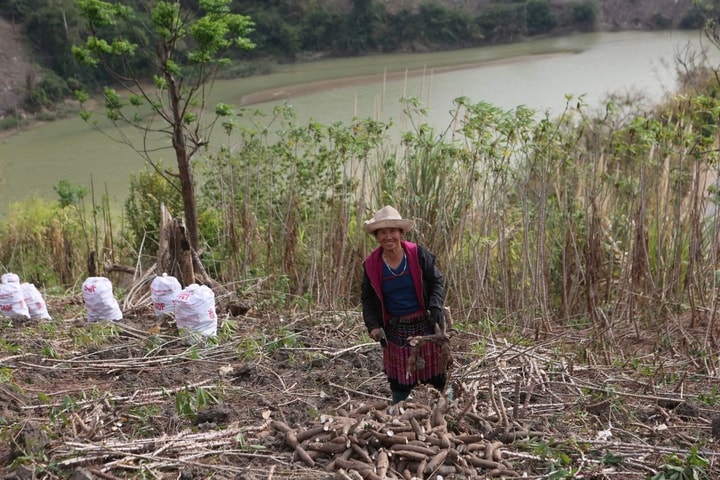 Nan giải tạo sinh kế cho người dân tộc thiểu số ở miền núi Thanh Hóa