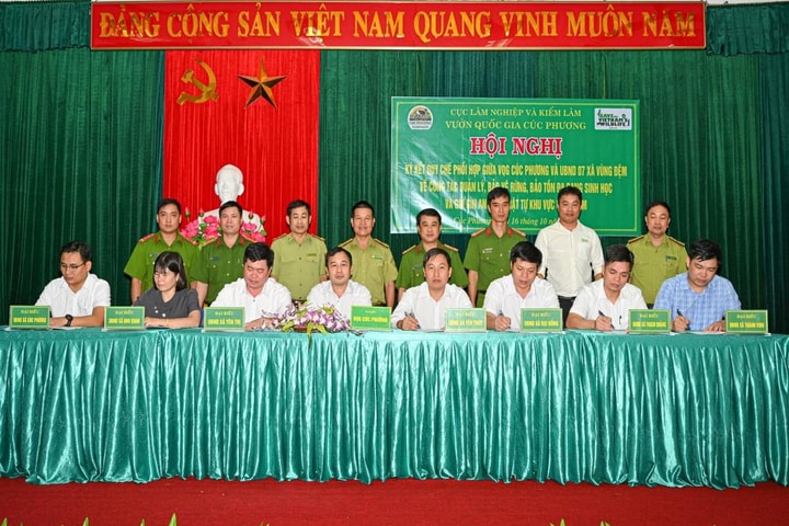 VQG Cúc Phương và 7 xã vùng đệm chung tay bảo vệ, phát triển rừng bền vững