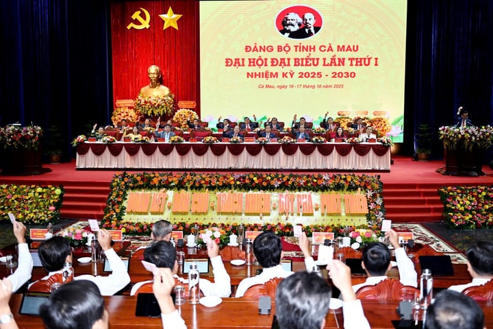 Đại hội đại biểu Đảng bộ tỉnh Cà Mau lần thứ I họp phiên trù bị