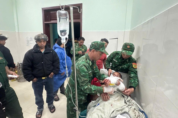 Trưởng thôn ở Đà Nẵng bị gấu rừng tấn công