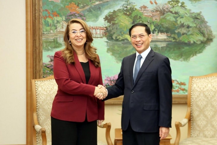 Việt Nam tăng cường hợp tác với UNODC trong phòng, chống tội phạm